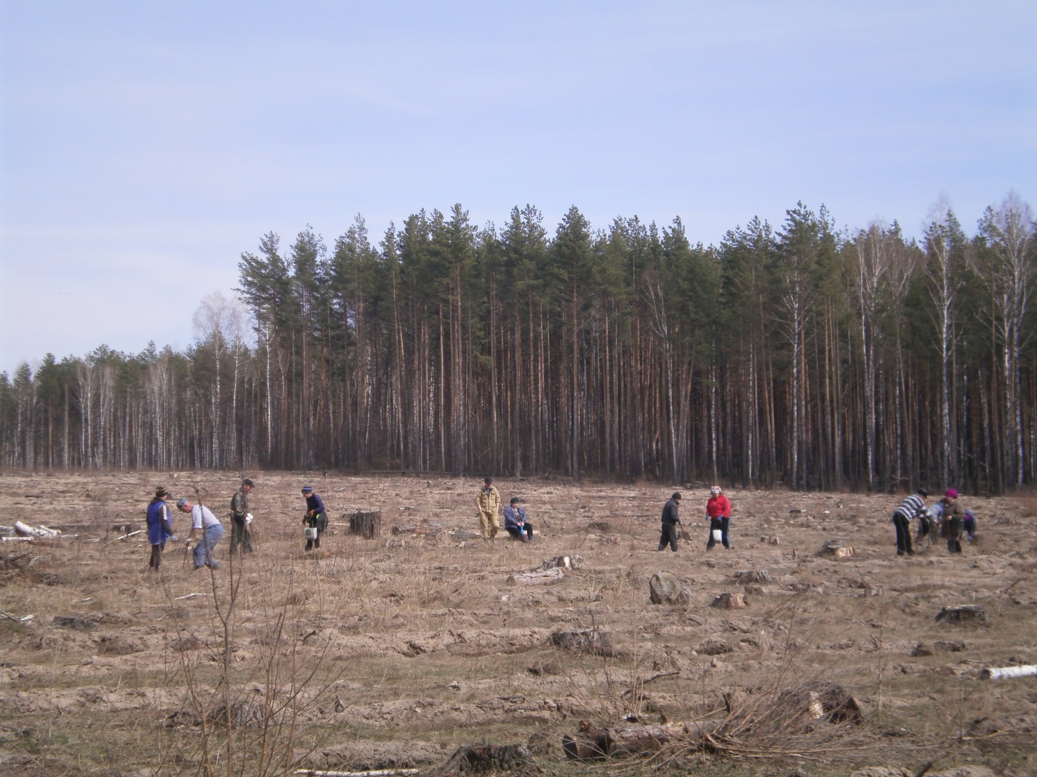 Сайт министерства лесного хозяйства пензенской области